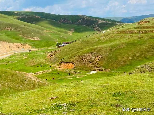 离西安最近的“草原天路”，车可以开到海拔2400多米的山顶！