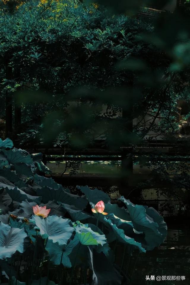 苏州的回忆：大公园
