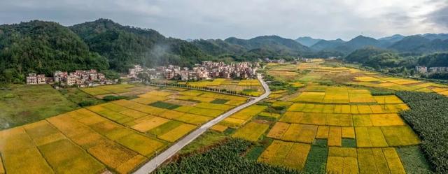 秋日限定!速来围观肇庆的绝美风光~