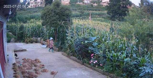 贵州49岁女子务农遭杀害被抛尸于石缝	，被害人儿子：嫌犯装作无事发生来我家吃饭！二审判死缓，家属申请再审