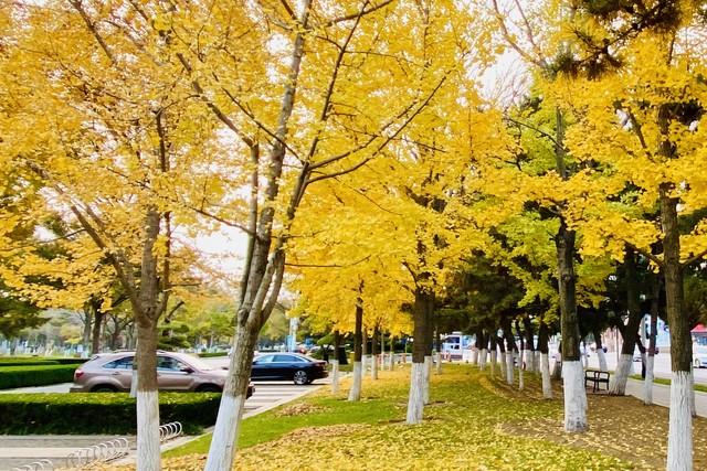 男女情爱的本质：女人慕“鲜活	”	，男人惜“付出”