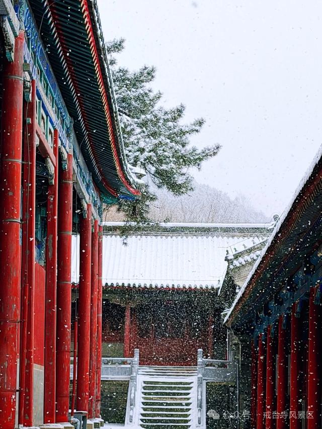 北京迎2026年第一场雪，踏雪寻梅年味渐浓