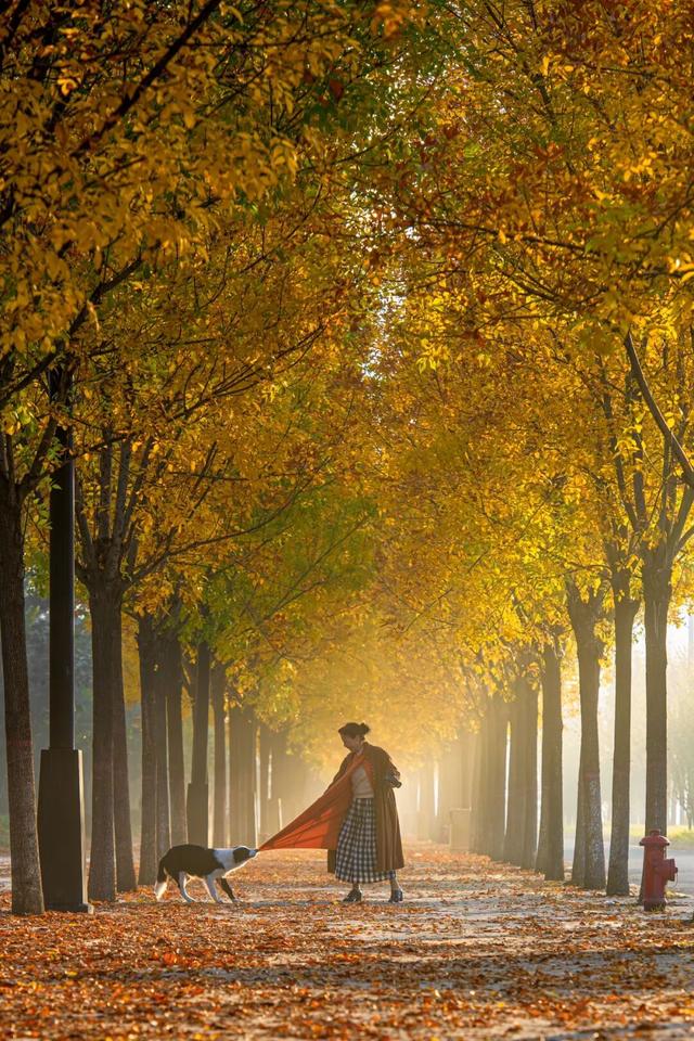 河南秋景大片，来了！（请横屏观看）