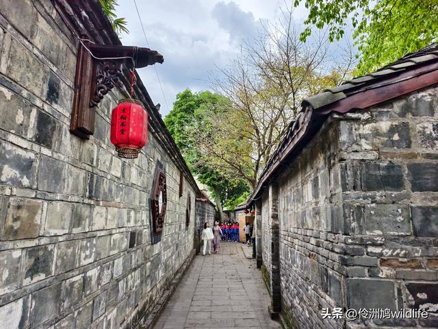 成都古镇（15）郫县唐昌古镇崇宁公园·大椿巷