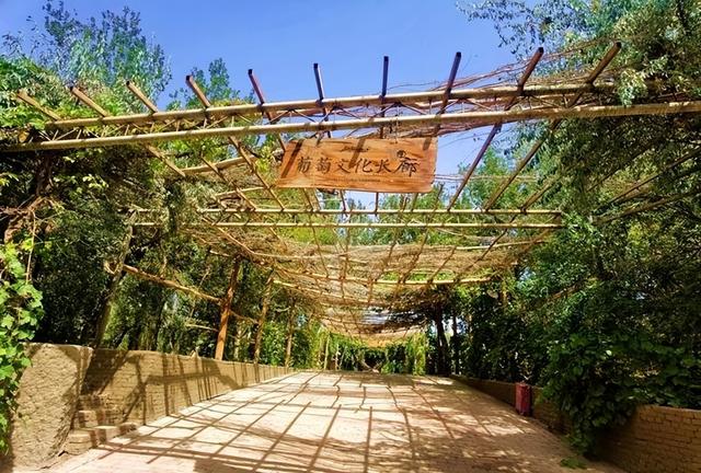 游新疆吐鲁番的坎儿井和葡萄沟