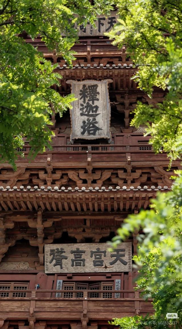 不是洛阳！高铁直达20℃千年古都！文物完胜西安，古建天下第一！碳水天堂50元吃爽！