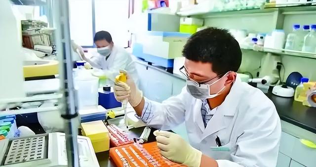 全球科技人才争夺战：中国K签证VS美国涨门槛，谁能笑到最后？