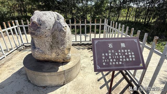 探秘淳化甘泉宫：穿越千年的秦汉风华