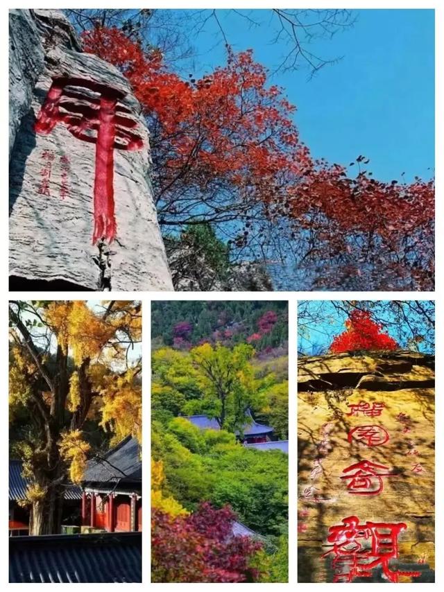 【醉美青檀秋色正当时】水彩画卷徐徐展开，只等您来！