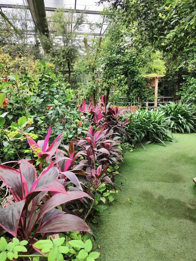 环保为径，文脉作伴——“呀路古”秋日生态履痕