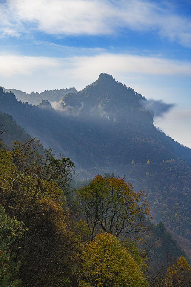2024深秋四川行19 神农架风景区2 华中屋脊的五彩秘境