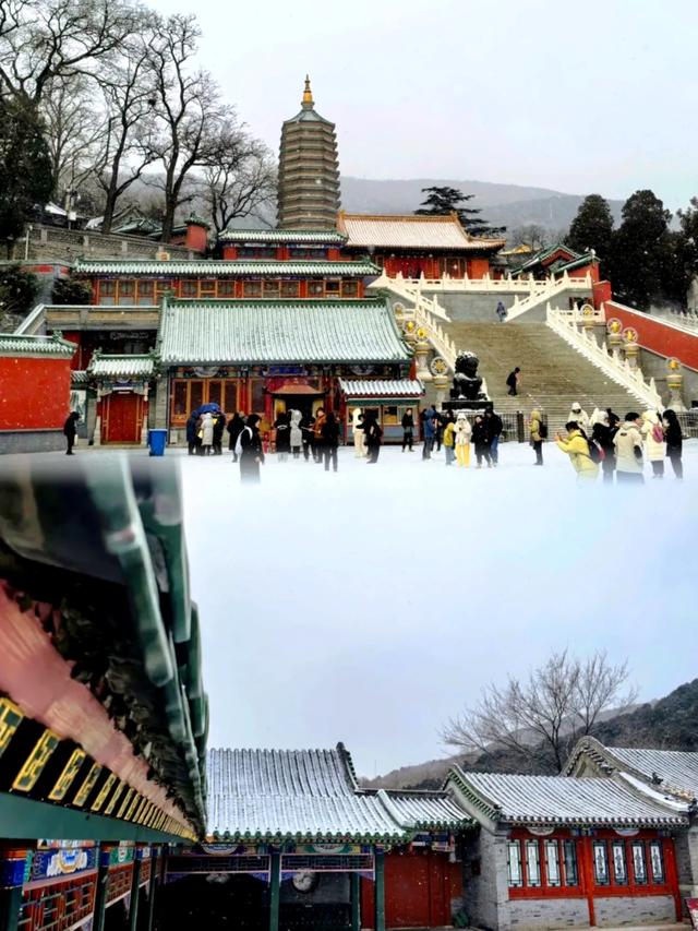 北京迎2026年第一场雪，踏雪寻梅年味渐浓