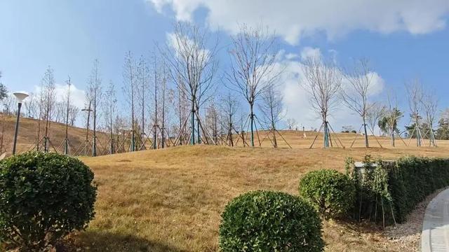 青岛又解锁一山头秘境，平行世界公园来啦！自然与欢乐都在线