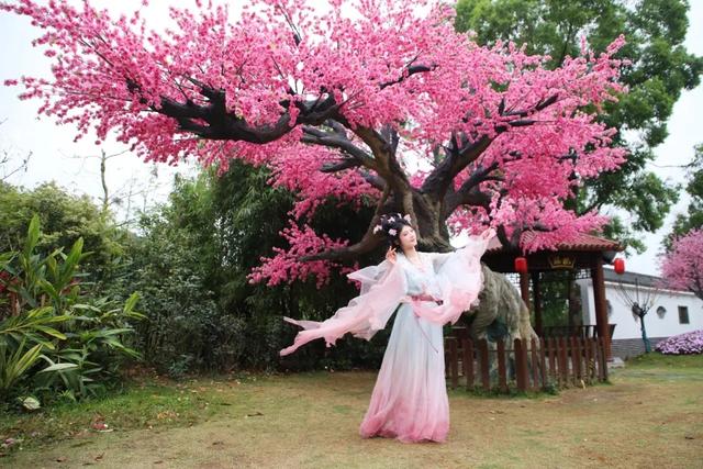 东莞观音山4月15日首日实况直击！欢迎东莞人民🤩共赏春光！