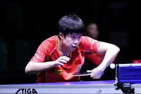 乒乓球最常用的16种接发球技术（上）图片