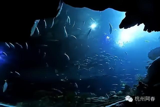 香港海洋公园