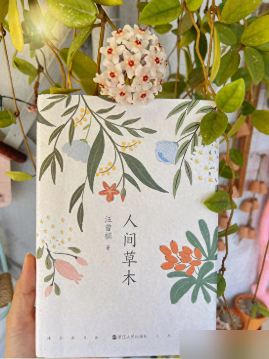 阴花不能进阳宅！这5种花“打死”也不养，家里若有？快挪走！