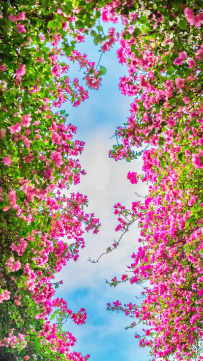 厦门又一网红出片点位，上新！美成偶像剧取景地→