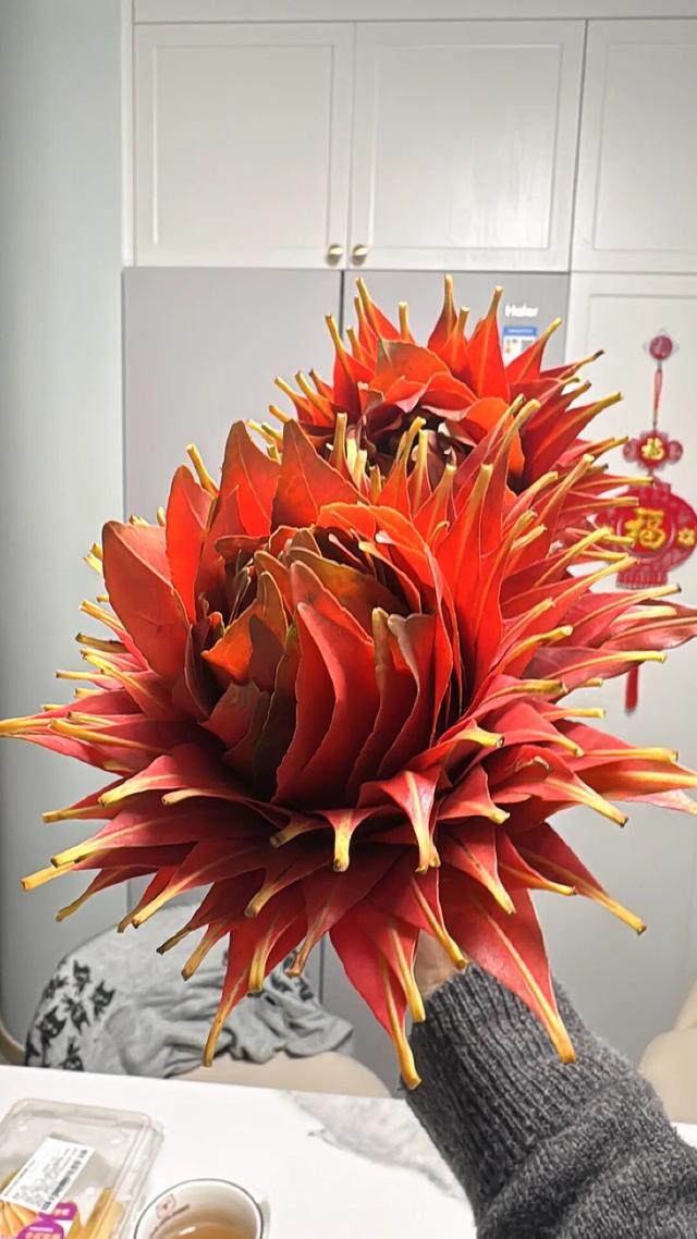 10月	，「需要另一个同类」