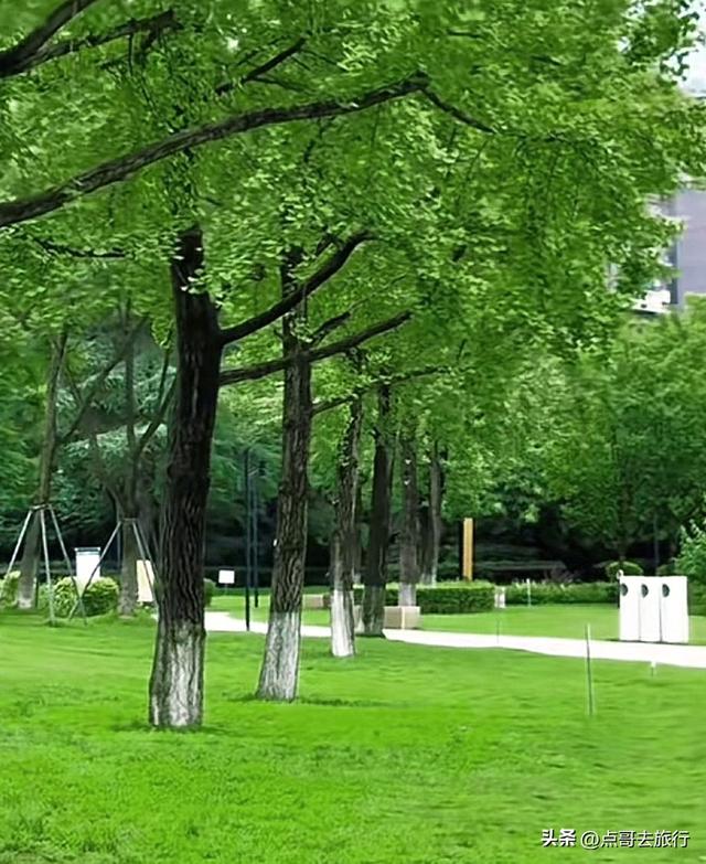 成都市中心必去公园，绿色秘境超美，私藏成都人记忆，地铁直达！