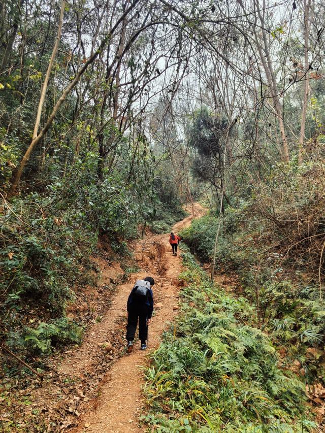 成都西门1h小众免费徒步地，野趣十足、值得N刷！