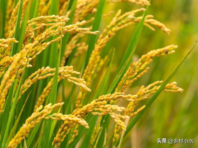 今年哪天入九？哪天出九？冬天会特别冷吗？答案来了