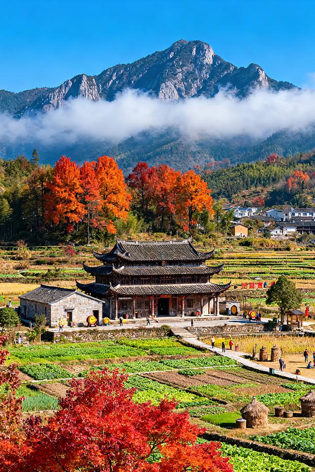 置身在城市里的繁华景象，抛不下乡村里的自然风光