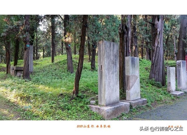 山东行游影记（226）—曲阜孔林（二）