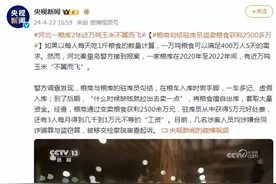 河北粮库万吨玉米失窃案：谁在背锅？图片