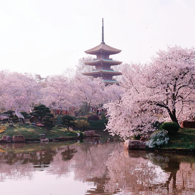 舌尖上的中国：十大美食之都的饕餮之旅