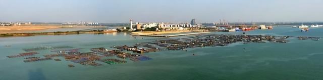 湛江金沙湾：碧海映金沙 湾美醉游人