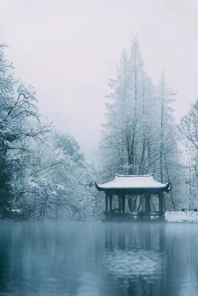 天目山秘境觉醒！用镜头解锁“大树王国”的N种打开方式