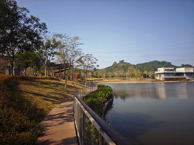 西丽湖绿道骑行随拍