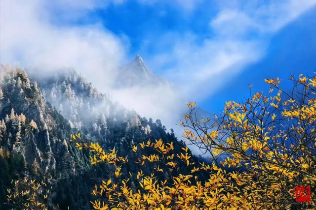 平武加入“大熊猫国家公园旅游目的地”品牌计划