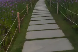 在深圳呆了两个多月，才总结出来的，这八个地方免费又好玩图片