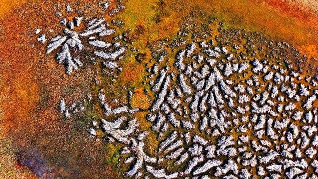 内蒙古杭锦旗：湿地秋景惹人醉