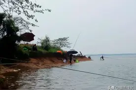 “水下疯狗”已入侵黄河？凶残到没有天敌，在野外也能活到70岁？图片