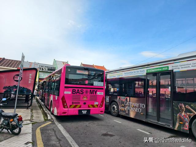 马来西亚(35)砂拉越州⑨峇哥国家公园徒步线路