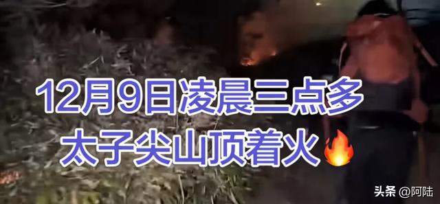太子尖终于着火了,从前几年变得臭哄哄开始,一切都是必然
