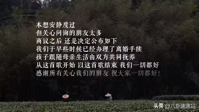 官宣离婚不到十天 海哈金喜官宣喜讯 成为李亚鹏“高攀不起”的存在