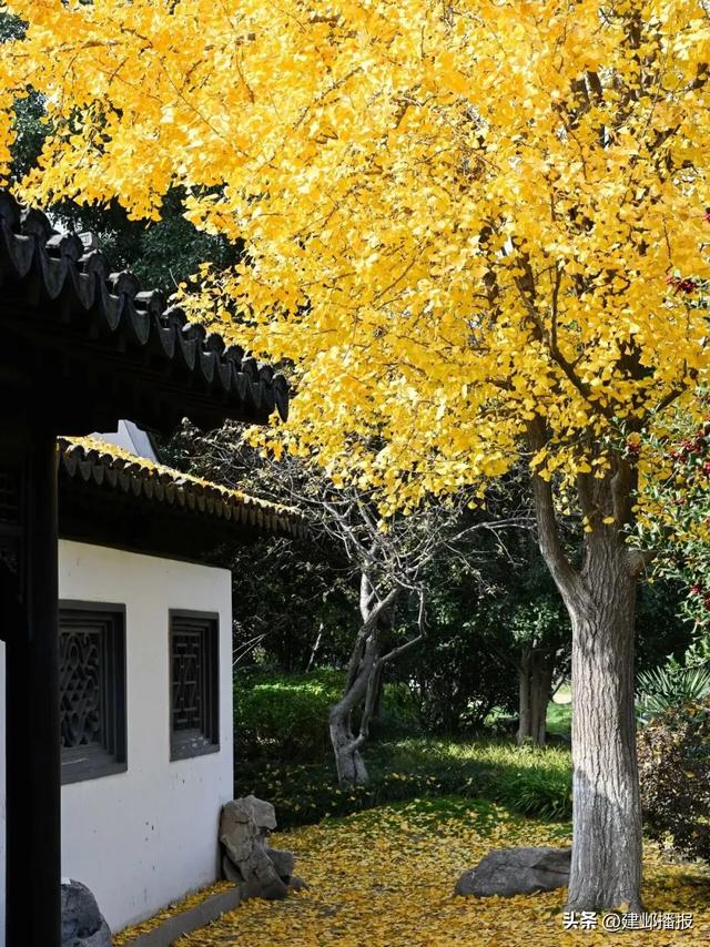 建邺5大封神赏景地，错过再等一年