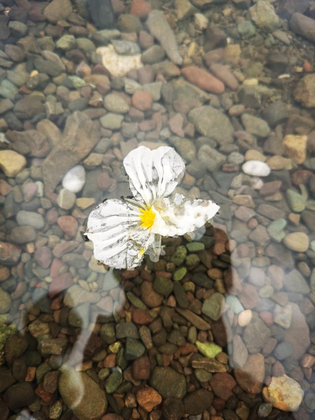 梦幻云南（五）：泸沽湖畔女儿国