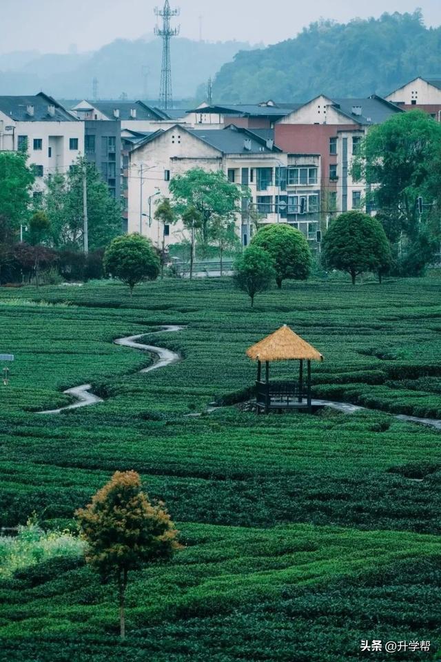 在夹关古镇见世面了，寻景尝鲜还能赶场！