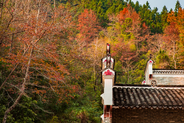 沉浸式感受韶关新丰绝美秋色！ 2天1夜赏枫露营品美食，徒步泡温泉，一起去躺平 ！