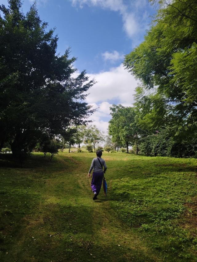 南行漫记：我见过地球上最美丽的一道疤痕，她叫马岭河峡谷