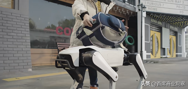 从打工妹到千亿身家，55岁女掌门拿下万台机器狗订单，冲刺AI硬件