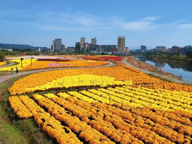 岳阳临湘市一日游十大必去旅游景点