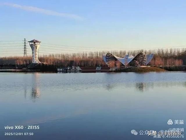 初冬北京朝阳坝河金盏淀:清寒里的静美画卷|申艳娟