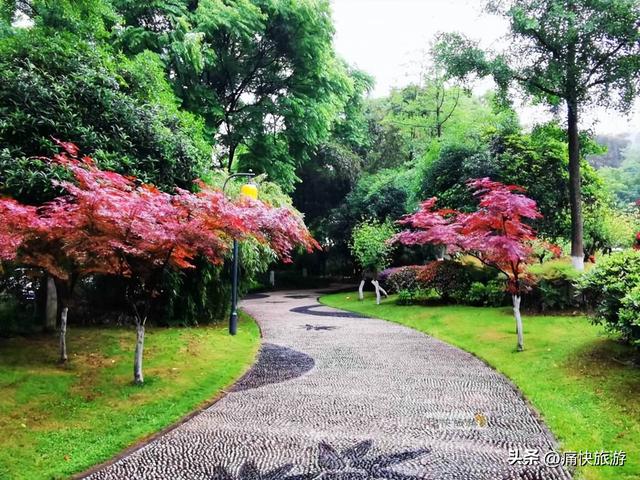 雨中漫步乐山城