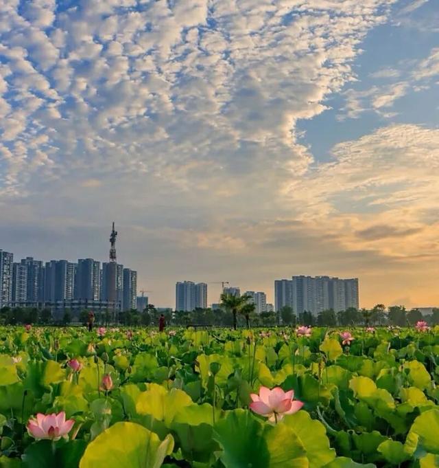 漫游津城！这份攻略快收好！